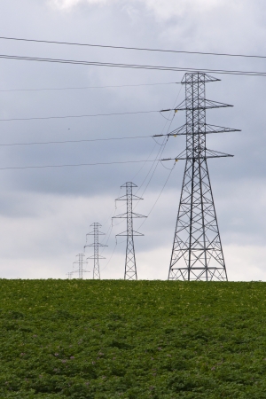 High voltage pylons on the meadowの写真素材