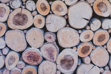 Close up of Timber pile background texture, free space for design text or pictures.の写真素材