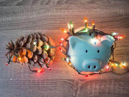 Blue piggy bank and pinecone with Party lights, Enjoy savings for the holidays concept.の写真素材