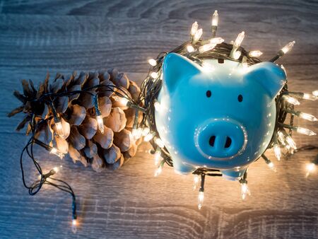 Blue piggy bank and pinecone with Party lights, Enjoy savings for the holidays concept.の写真素材