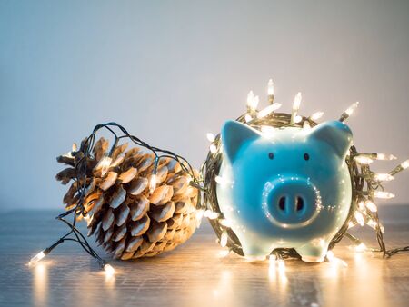 Blue piggy bank and pinecone with Party lights, Enjoy savings for the holidays concept.の写真素材