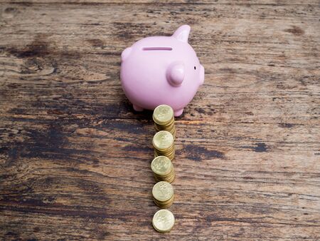 Pink piggy bank with 
gold coins pile growth graph, Saving money for future investment plan and retirement fund concept.の写真素材