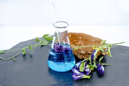 Extraction of Butterfly pea flowers And honey to make herbal medicine.