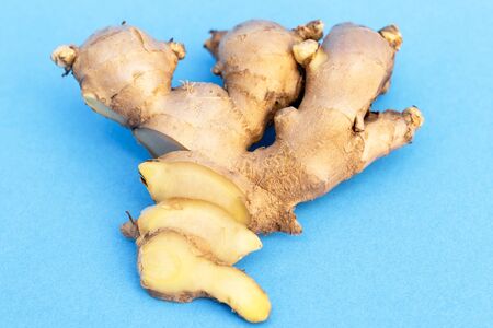 Picture of Ginger isolated on a blue background.