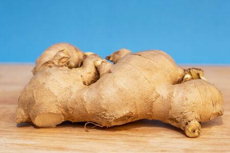Picture of Ginger isolated on a blue background.
