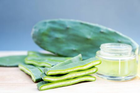 Cactus leaves, gel and cactus leaves slide Isolated on wooden background.の写真素材