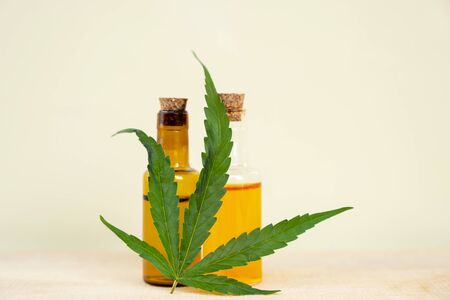 Hemp leaves and CBD oil. Alternative Medicine, Herbal Treatment concept.の写真素材
