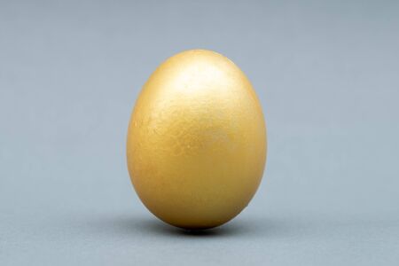 Golden egg isolated on gray background.