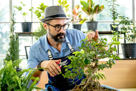 A senior man or grandfather with a mustache enjoys gardening for the tree at home after retirement.