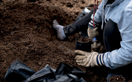 The farmer hand holding  black nursery plastic bag and put the soil mixing husk to prepare for the...