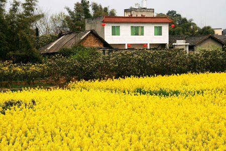 the scenery of China