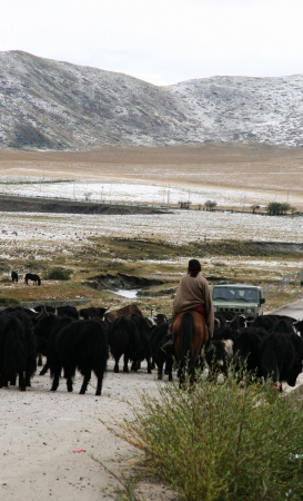 plateau sceneryの写真素材