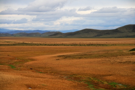 the Ruoergai Prairie-one of the three largest wetland in Chinaの写真素材