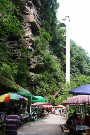 the scenery of Bifengxia in Sichuan Province of Chinaのeditorial素材