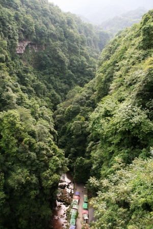 the scenery of Bifengxia in Sichuan Province of Chinaの写真素材