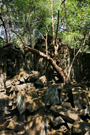Bengmeanlea-in Angkor Wat of Cambodia