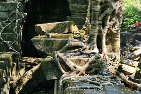 Bengmeanlea-in Angkor Wat of Cambodia
