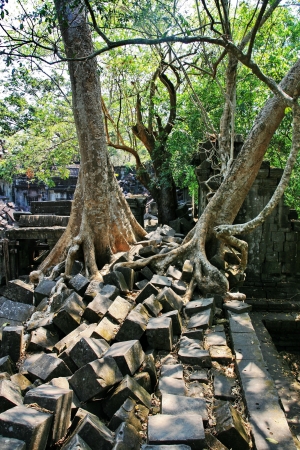 Bengmeanlea-in Angkor Wat of Cambodiaの写真素材