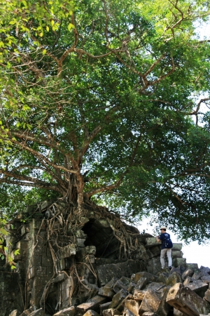 Bengmeanlea-in Angkor Wat of Cambodia
