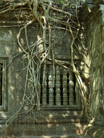 Bengmeanlea-in Angkor Wat of Cambodia