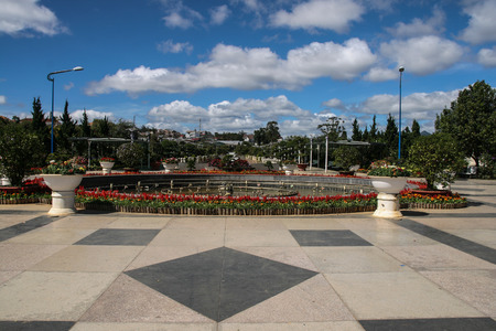 the park in vietnamの写真素材