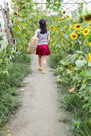 tourist in yongning town,sichuan,chinaのeditorial素材