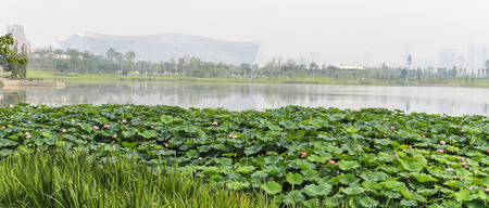 the scenery in chengdu,chinaのeditorial素材
