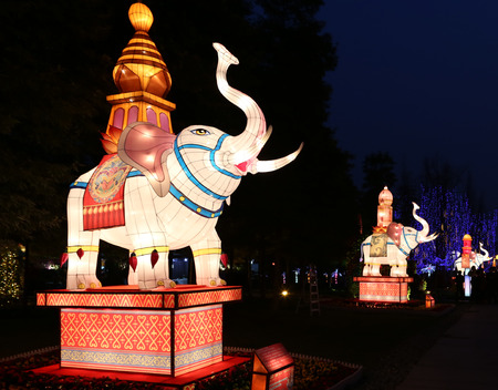 2015 lantern festival at Chengdu, China