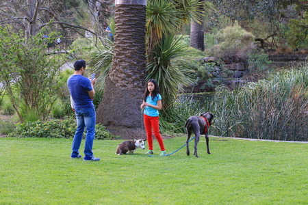 people playing in royal botanic garden melbourne,australiaのeditorial素材