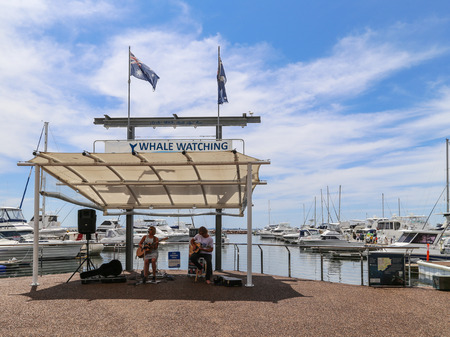the musicians playing the guitar in port stephens,australisのeditorial素材