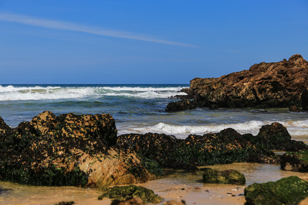 the landscape in malllacooto natural protection area,australia