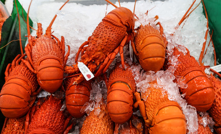 fish market in sydney,australiaのeditorial素材