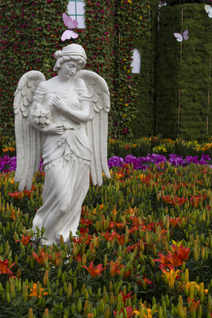 flowers in the park,chengdu,chinaの写真素材
