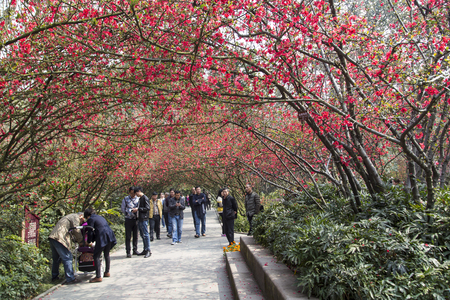 People in parkのeditorial素材