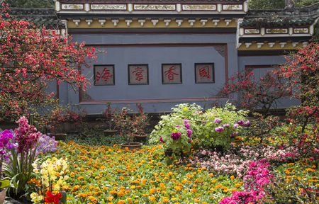 Flowers in parkのeditorial素材