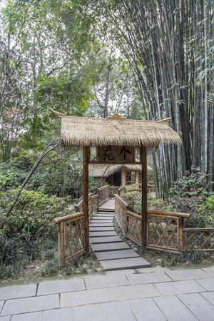 wangjiang park in chengdu,chinaの写真素材