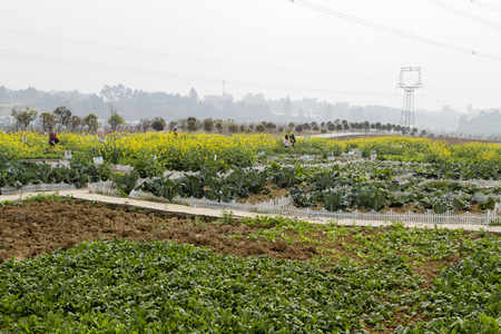 rural scenery in chinaのeditorial素材