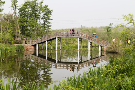 the landscape in a park,chengdu,chinaのeditorial素材