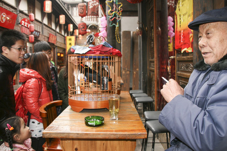 old man with his talking bird  in kuanzhai alley , chengdu,chinaのeditorial素材