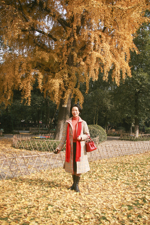 woman under ginkgo treeのeditorial素材