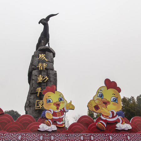 chengdu zooのeditorial素材