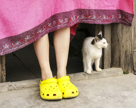 The cat and hostess in the town,chengdu,chinaの写真素材