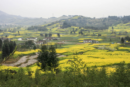 Spring field landscape in china