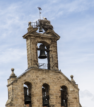 The sculpture of university of salamanca in spainのeditorial素材