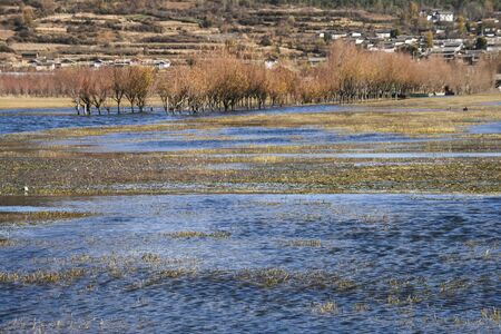 the landscape in lijiang, chinaの写真素材
