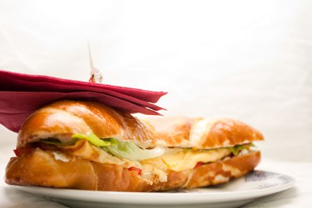 bread, breakfast, bun, calorie, closeup, decoration, delicious,  fast food, fresh,  junk food, lunch, meal,  red, salad, sandwich, tomato, vegetable, white, green salad, napkin, omelet,の写真素材