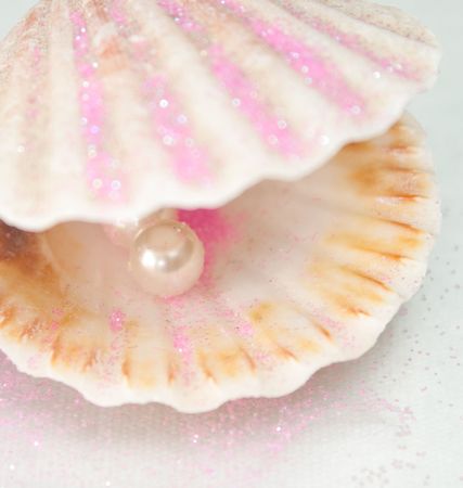  beautiful,   conch,  gem,  jewel,  macro, pearl,  seashell, shell, shiny, sphere, surf,  white, の写真素材