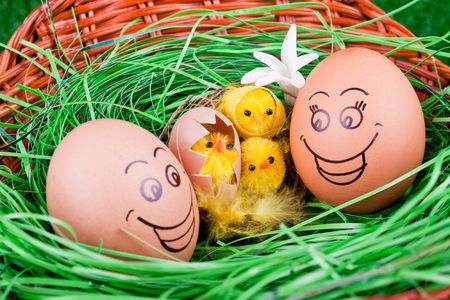 easter eggs with smile and chicken in nest