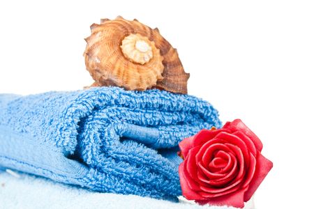folded blue towel with seashell on top and red rose on the sideの写真素材