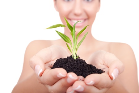green plant in woman`s hands- isolated on whiteの写真素材